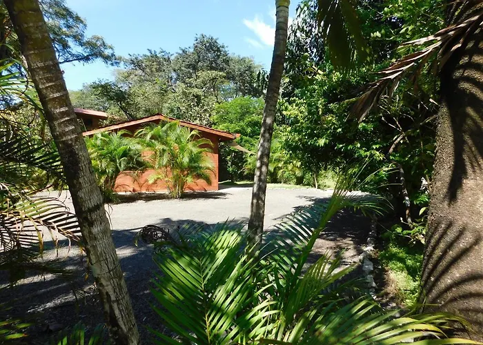 Villasjungle 2 *