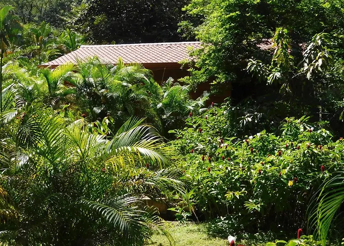 Сasa de vacaciones Villasjungle 2