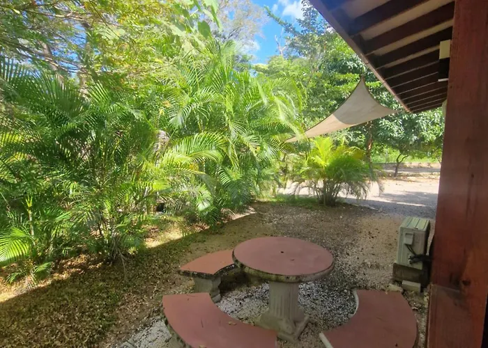 Villasjungle 2 * Sámara
